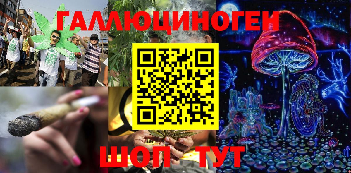 Псилоцибиновые грибы мухоморы Качканар