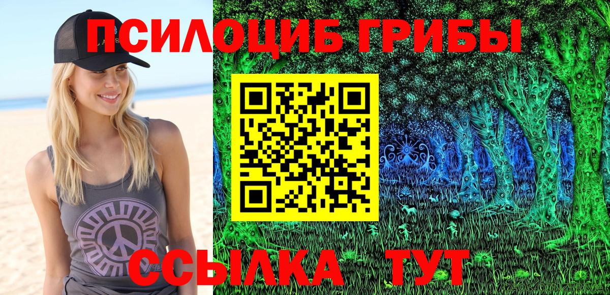 A-PVP Качканар
